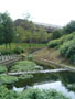 university of limerick - waterways.jpg